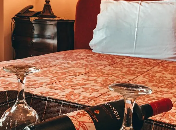 Guest house Elena 4*